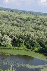 Фото користувача Sebastianzpralk