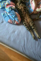 Фото користувача grzegorzfigo