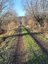 Фото користувача michalmichal123451