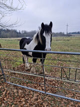 Zdjęcie użytkownika szymonglock1
