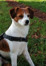 Foto pengguna Sebastiansebasss