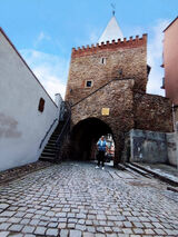 Benutzerfoto WydziaranyDzik93