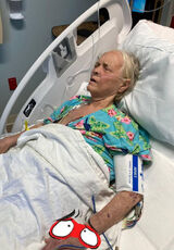 Fotka uživatele bogihjelp