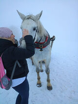 Zdjęcie użytkownika JoannaP8585