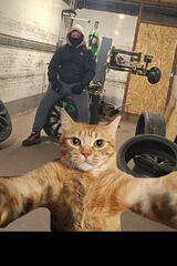 Zdjęcie użytkownika KamilWozniak11