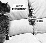 Фото користувача darialena666