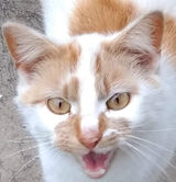 Benutzerfoto Kamilooo008