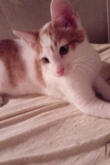 Benutzerfoto MariuszTren