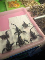 Foto utilizatorului daro9182