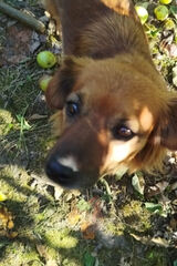 Фотография пользователя Gregor3501