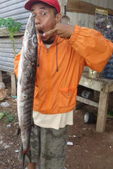 Fotka uživatele otnaiguz87