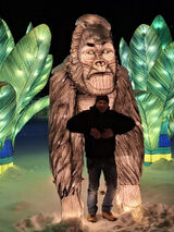 Foto pengguna marcinAugustow