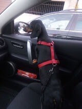 Фото користувача CoSieLampisz