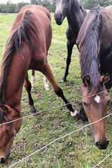 Zdjęcie użytkownika romanwanda764