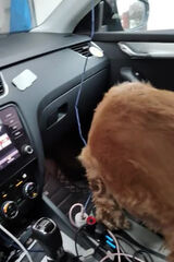 Zdjęcie użytkownika PiotrB70