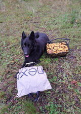 Фотография пользователя Smotny0001