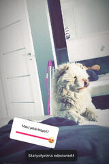 Zdjęcie użytkownika zbyszekzatorski1