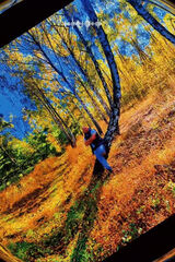 Benutzerfoto KamilJawicki1984