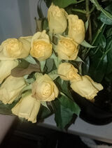 Фотография пользователя magdalena2206