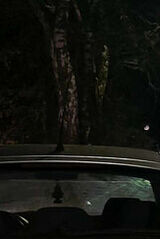 Zdjęcie użytkownika Jakub294739