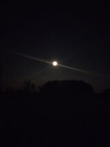 Benutzerfoto slawekgrucha