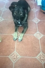 Fotos grzesiekchmiel1