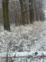 Benutzerfoto marcinfh16