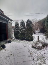 Фотография пользователя a2277