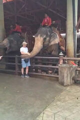 Фото користувача XDX1979