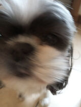 Foto utilizatorului Alexpixel