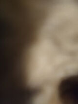 Foto utilizatorului beginek