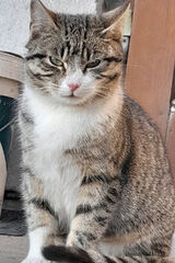 Zdjęcie użytkownika Pi0ootr