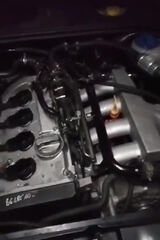 Фото користувача Onwdkk555