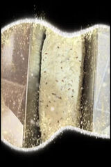 Benutzerfoto Rynio3a