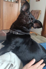 Fotos annabobowska48