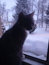 Benutzerfoto babciab251