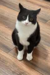 Zdjęcie użytkownika Rafael4321