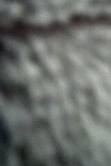 Фотография пользователя Daniel663