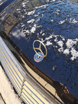 Foto pengguna Darcix