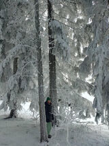 Fotka uživatele Anusiaa