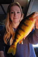 Zdjęcie użytkownika linaaaboahaadu