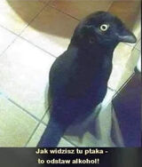 Photos JamesBlond087