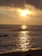 Фото користувача paul1984barco