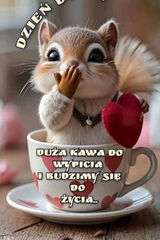 Zdjęcie użytkownika padalec1