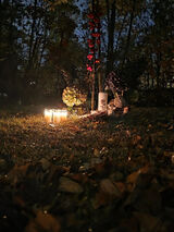 Zdjęcie użytkownika Natalia2sj