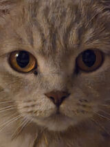 Фото користувача Natalia2sj