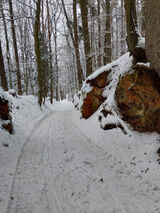 Benutzerfoto Samotnabestia