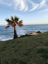 Fotka uživatele przkow93wppl