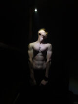 Benutzerfoto mazurtobiasz8