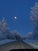 Zdjęcie użytkownika adam197506